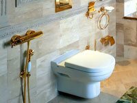 Гигигенический душ как альтернатива биде уместен в любой ванной комнате. Источник http://www.klops.ru