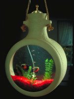 Различные виды аквариумов поражают своим разнообразием. Источник http://www.robertcomptonpottery.com