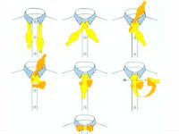 Узнайте, как завязывать галстук-бабочку! Источник http://www.fashiontime.ru