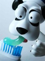 Зубная паста для ребенка — с запахом или без? Источник http://xage.ru