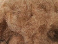 Качественное шерстяное одеяло требует отменного сырья. Источник http://radikal.ru