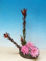 Как сделать икебану из цветов, соблюдая все правила расстановки растений. Источник http://www.mytrilogylife.com