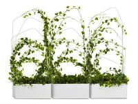 Растения для дома помогут разделить комнату на функциональные зоны. Источник http://www.interiorholic.com