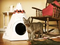 Домик для кошки из коробки в форме индейского вигвама. Источник http://www.pawfi.com