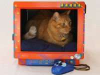 Декорируйте старый корпус монитора, и он станет домиком для кошки! Источник http://gizmodo.com