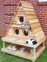 Как сделать «дачный» домик для кошки? — ПРОСТО! Источник http://catcondo.wieldtheweb.com